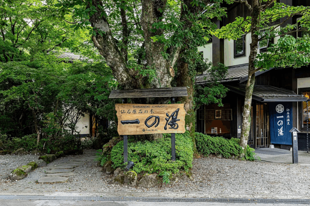 仙石原 品の木一の湯