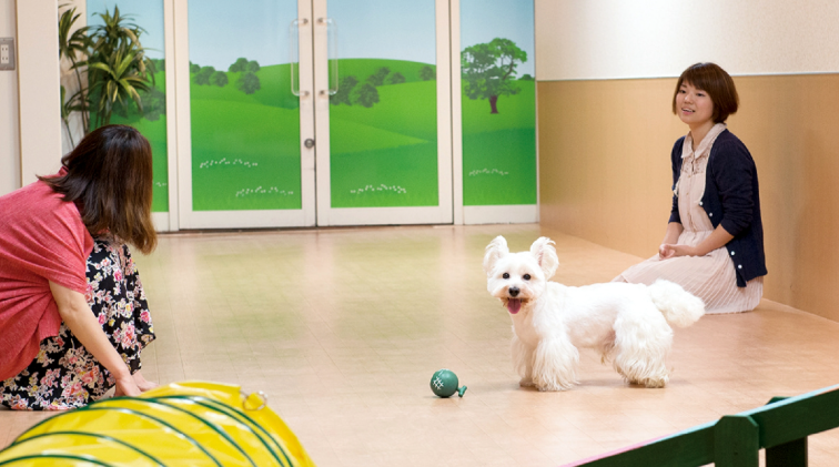 楽天トラベル グランドプリンスホテル高輪