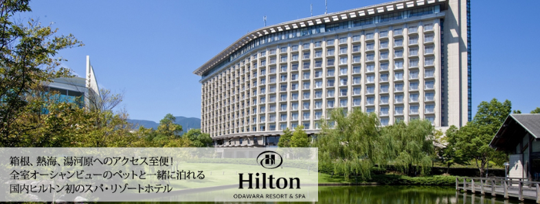 プール付きホテル 神奈川 楽天トラベル