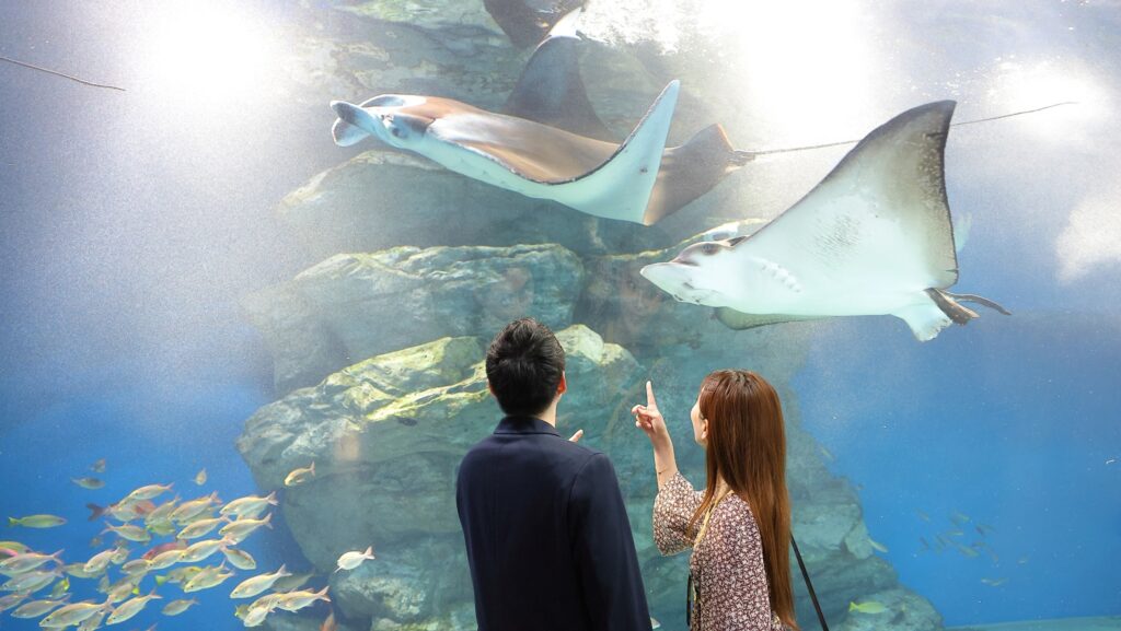 マクセル アクアパーク品川