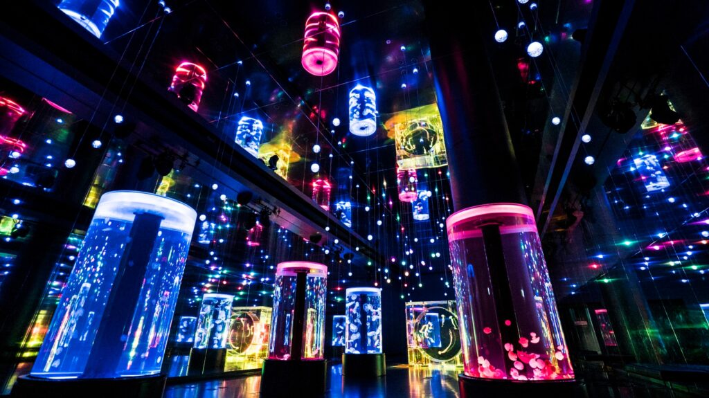 マクセル アクアパーク品川 ジェリーフィッシュランブル