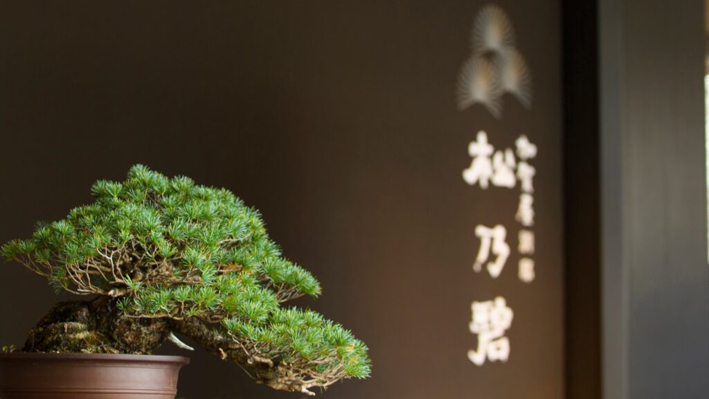 加賀屋 別邸松乃碧